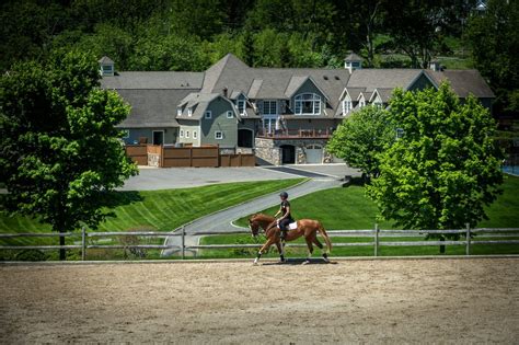 Home, outdoor and equestrian Equestrian and dog 